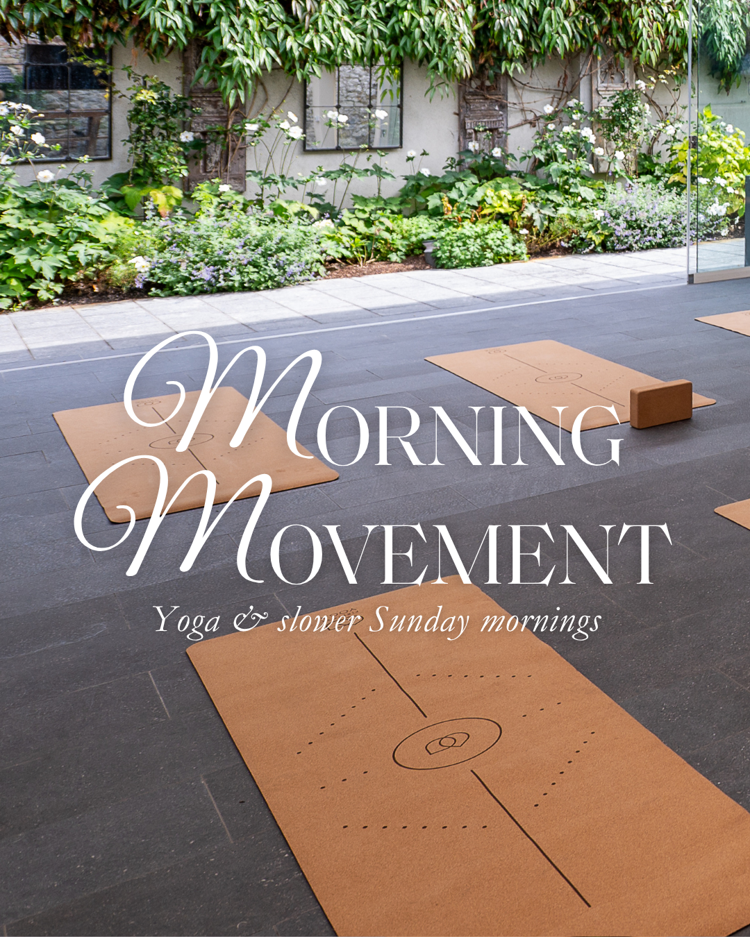 Morning Movement - Sunday 11th October