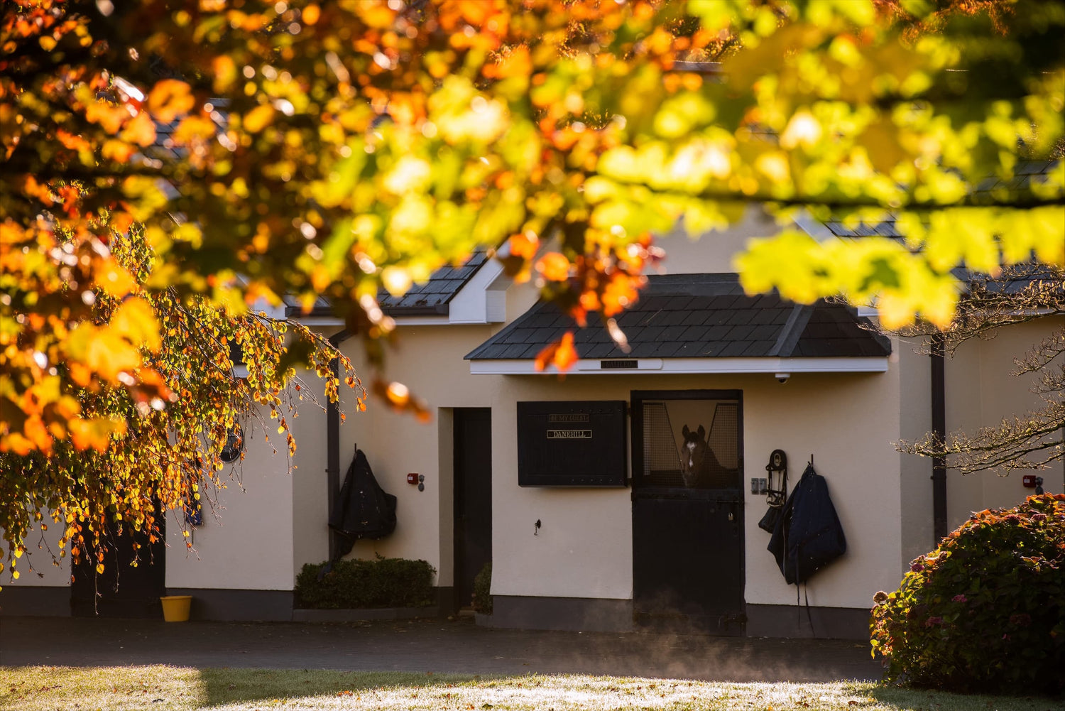 Coolmore Collection