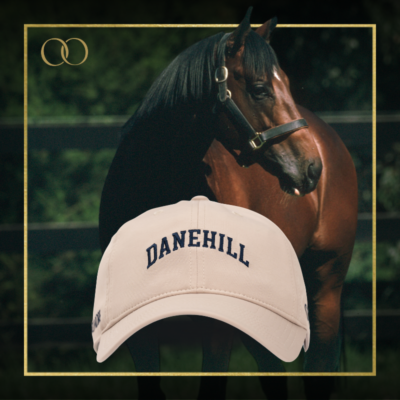 Danehill Cap - Legacy Sires