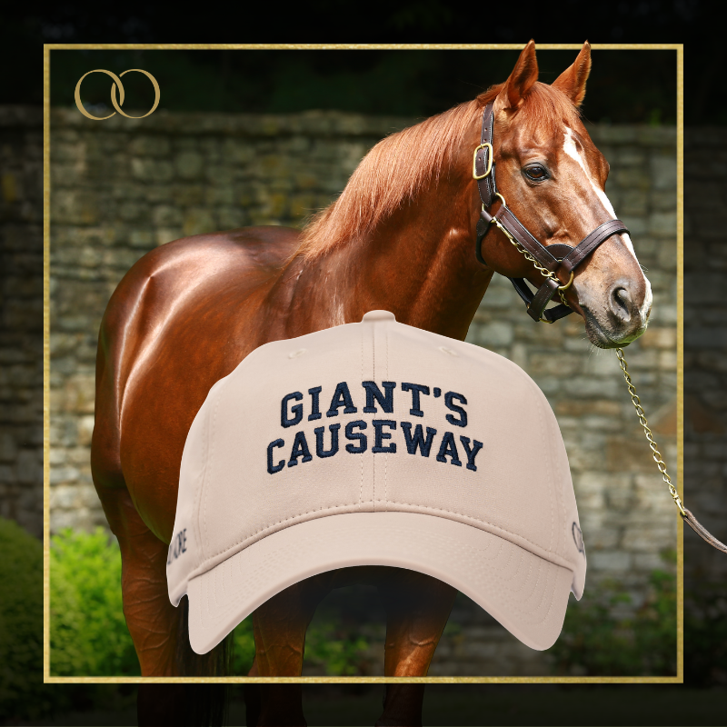 Giant's Causeway Cap - Legacy Sires