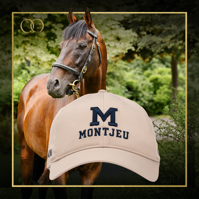 Montjeu Cap - Legacy Sires