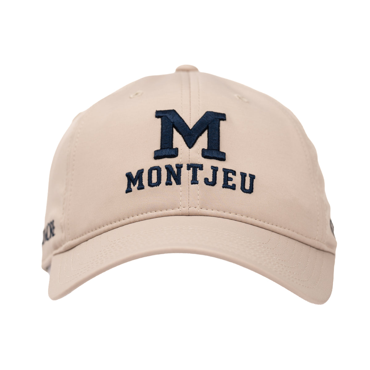 Montjeu Cap - Legacy Sires