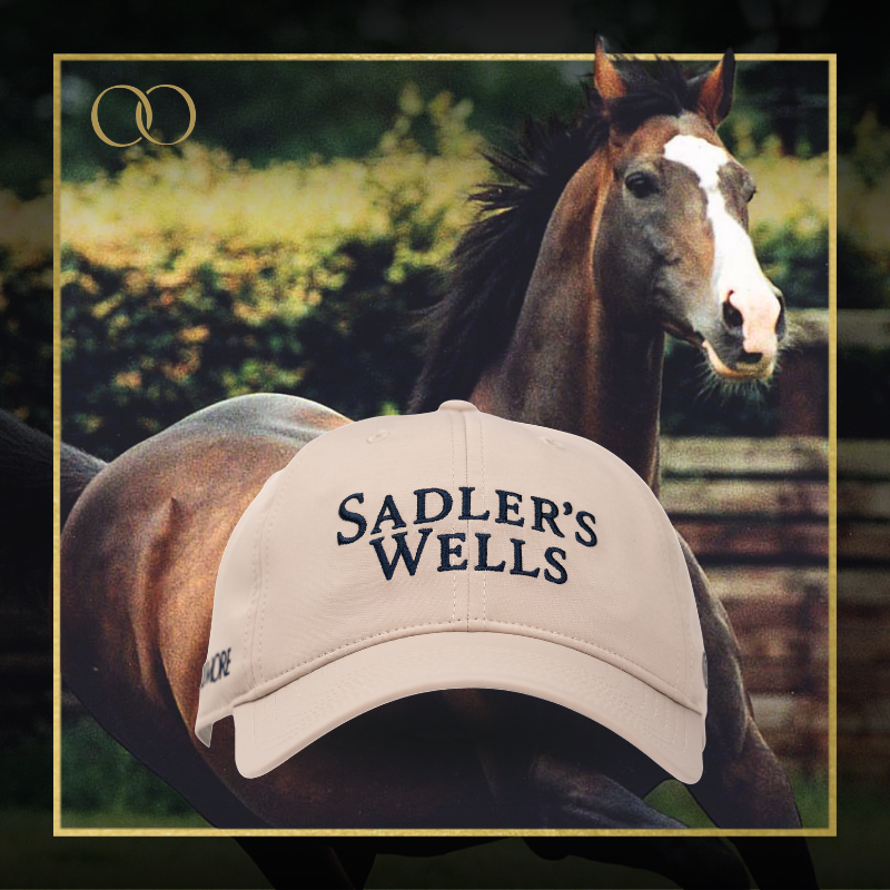 Sadler's Wells Cap - Legacy Sires