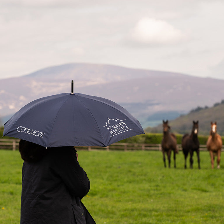 Coolmore St Mark's Basilica Umbrella